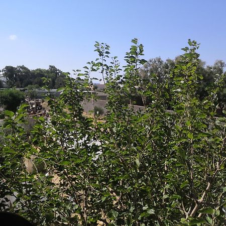 Hotel L'Hirondelle De Kelibia : Chez Amou Pokój zdjęcie