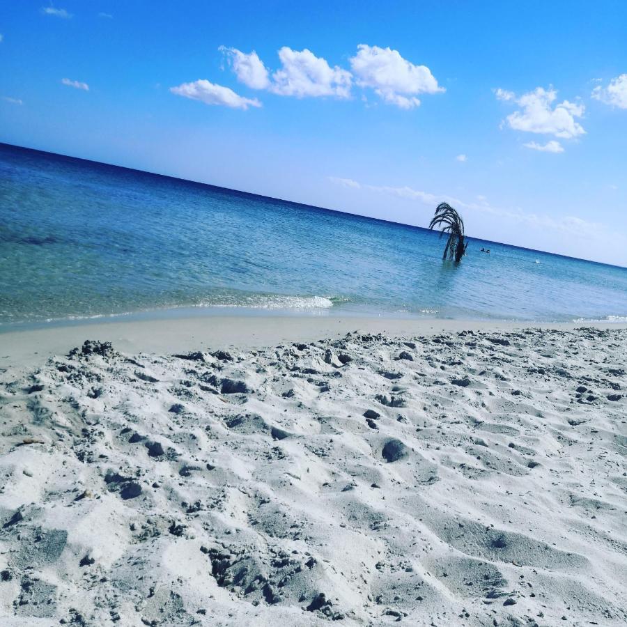 Hotel L'Hirondelle De Kelibia : Chez Amou Zewnętrze zdjęcie