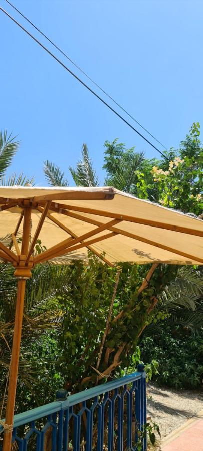 Hotel L'Hirondelle De Kelibia : Chez Amou Zewnętrze zdjęcie