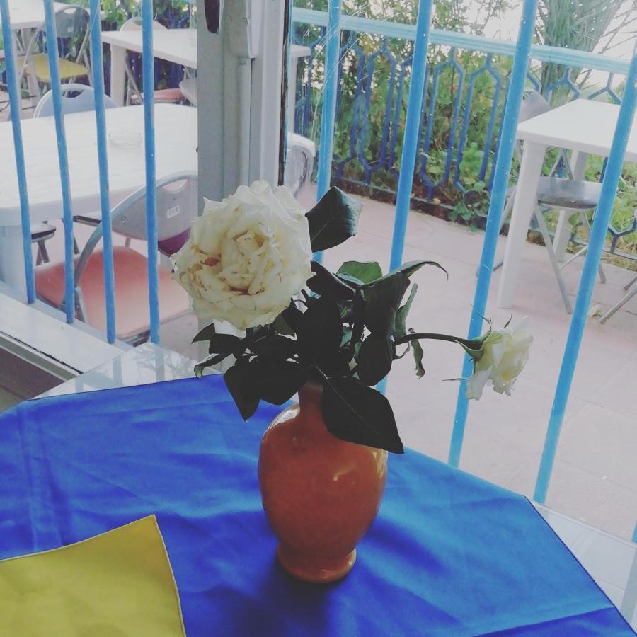 Hotel L'Hirondelle De Kelibia : Chez Amou Zewnętrze zdjęcie